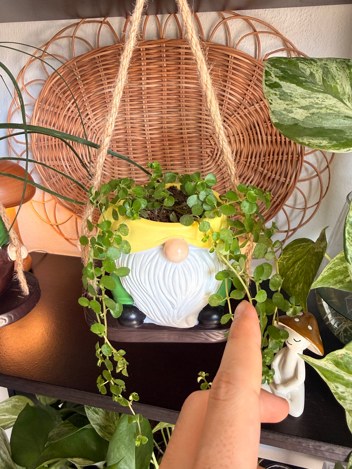 Gnome Hanging Pots