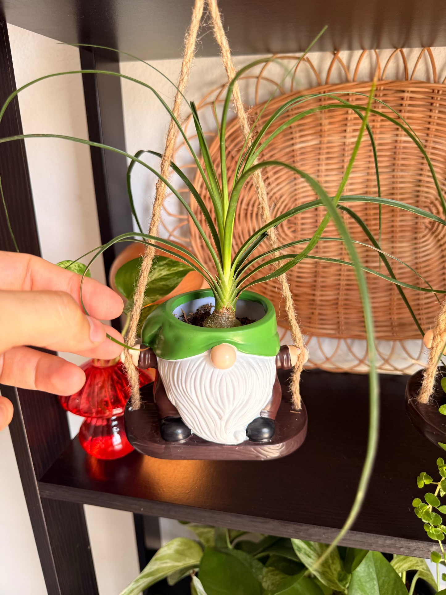 Gnome Hanging Pots