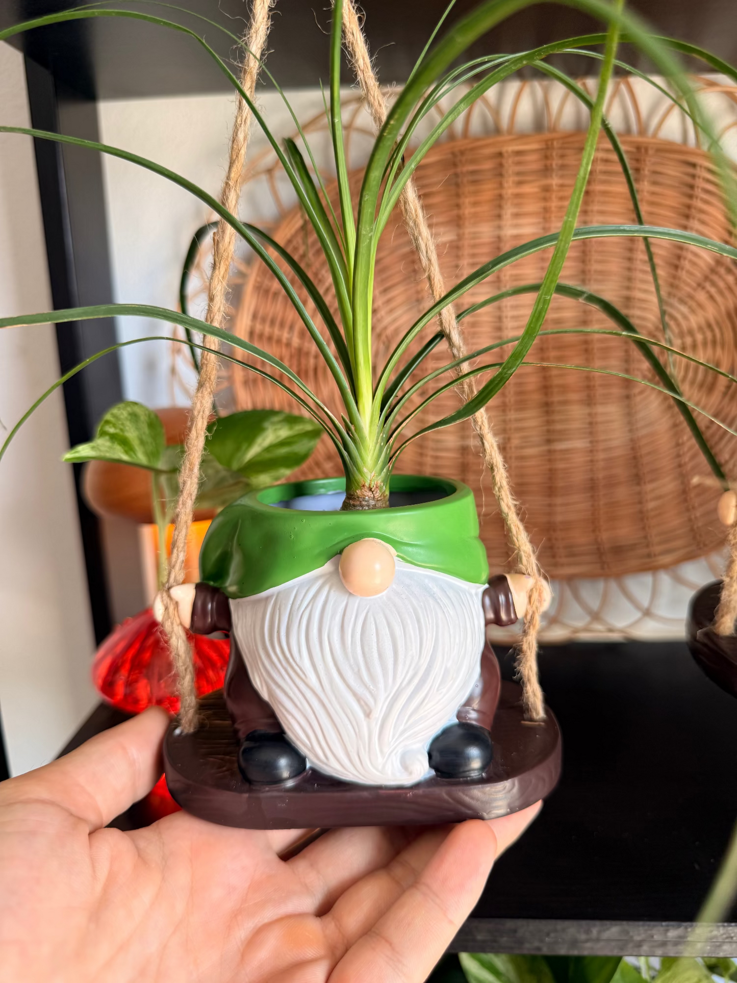 Gnome Hanging Pots