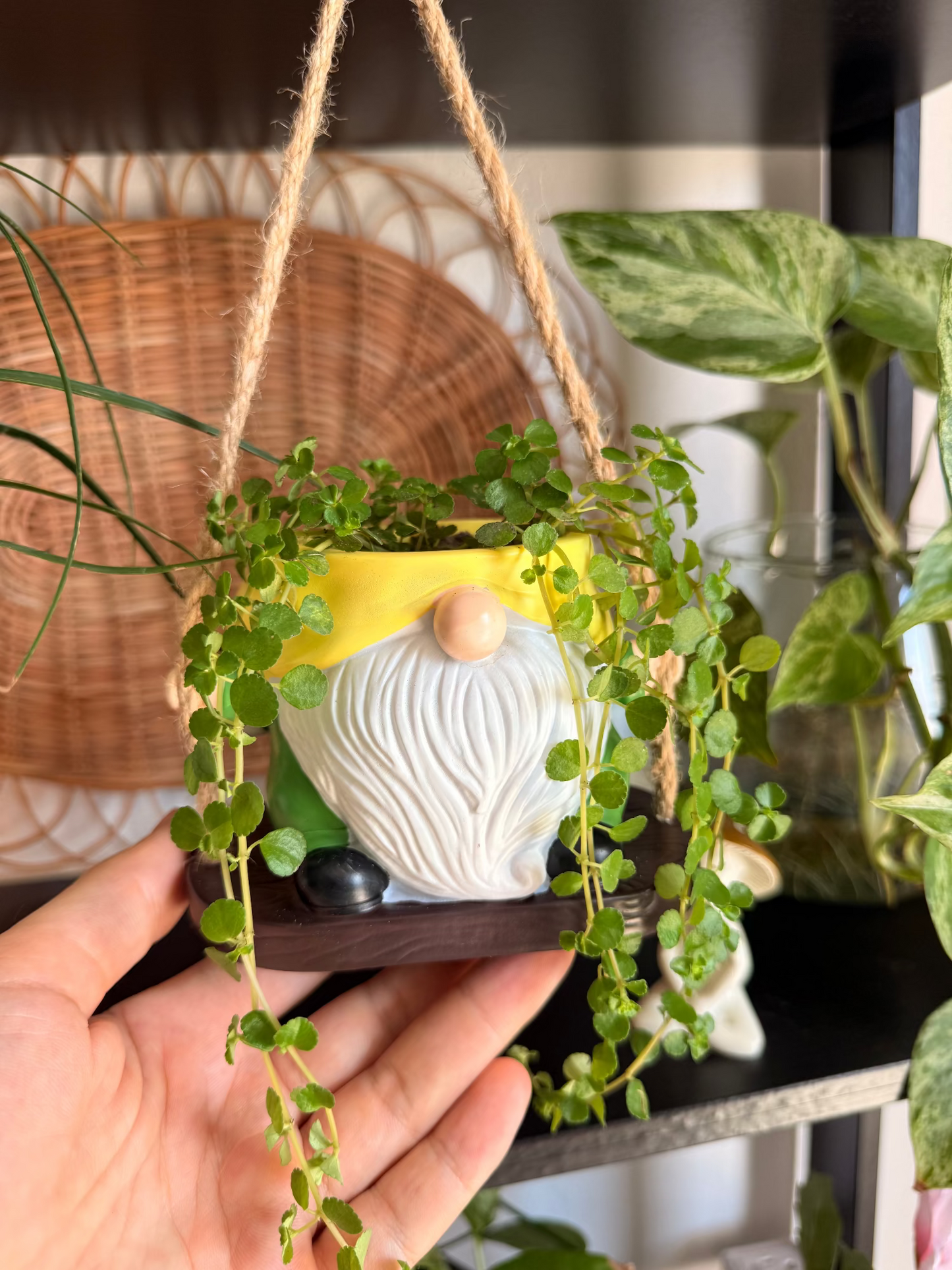 Gnome Hanging Pots