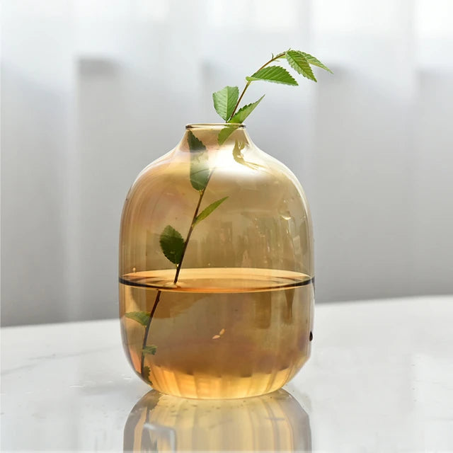 Amber Propagation Vases