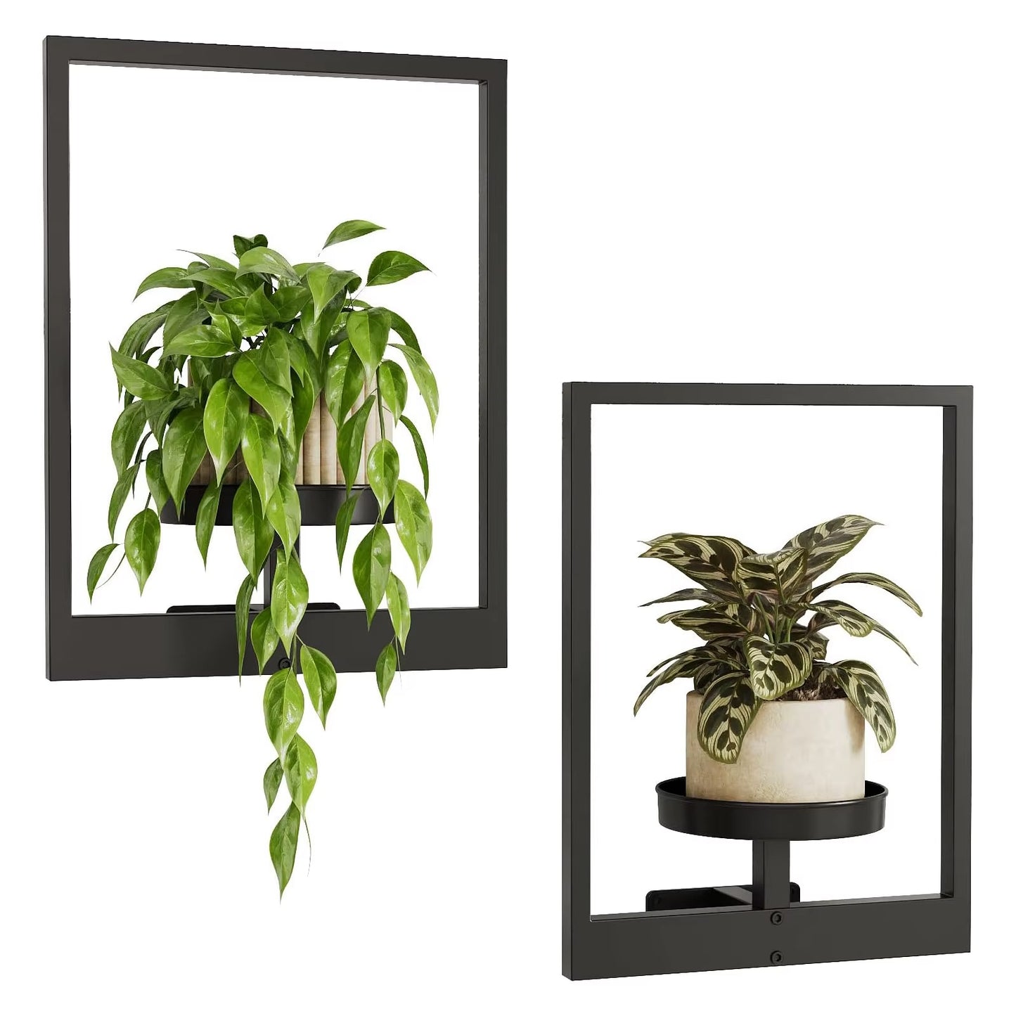 Plant Art Wall Frame