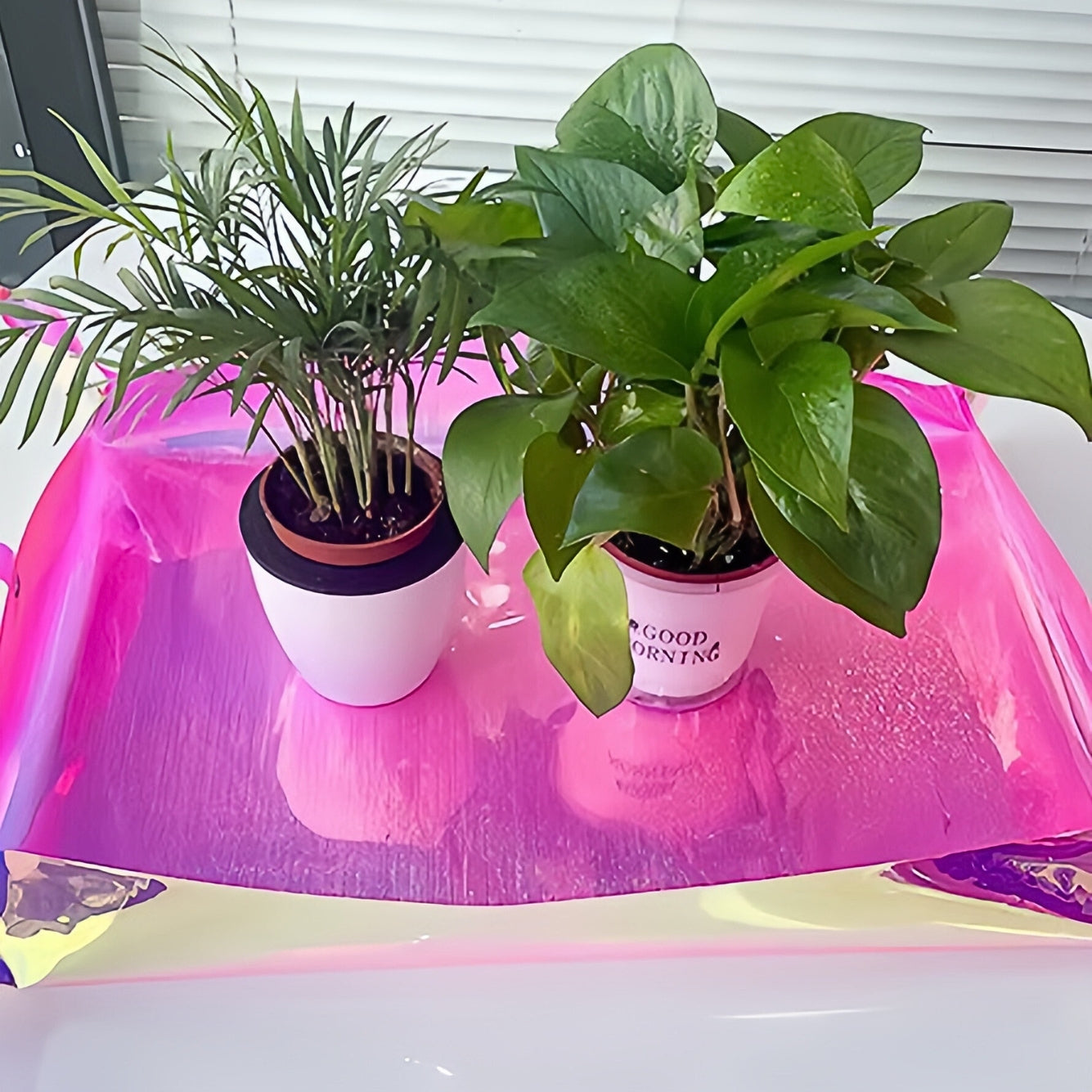 Repotting Mat