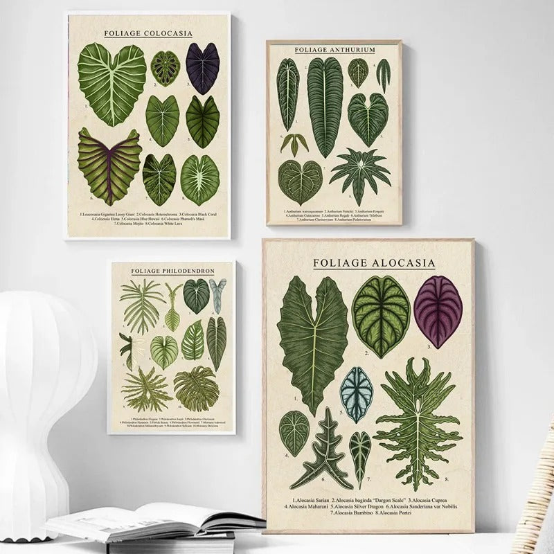 Vintage Plant Art Canvas (unframed)