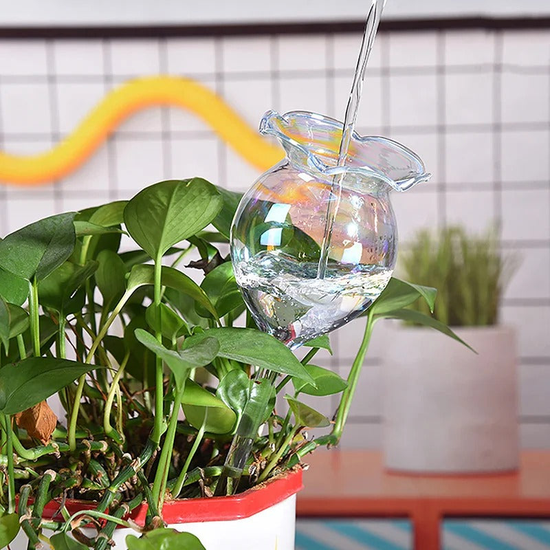 Rainbow Tint Self-Watering Feeders