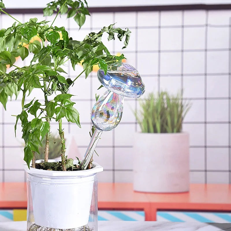 Rainbow Tint Self-Watering Feeders