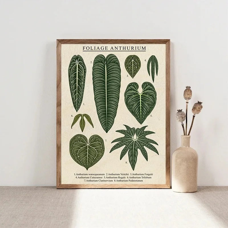 Vintage Plant Art Canvas (unframed)