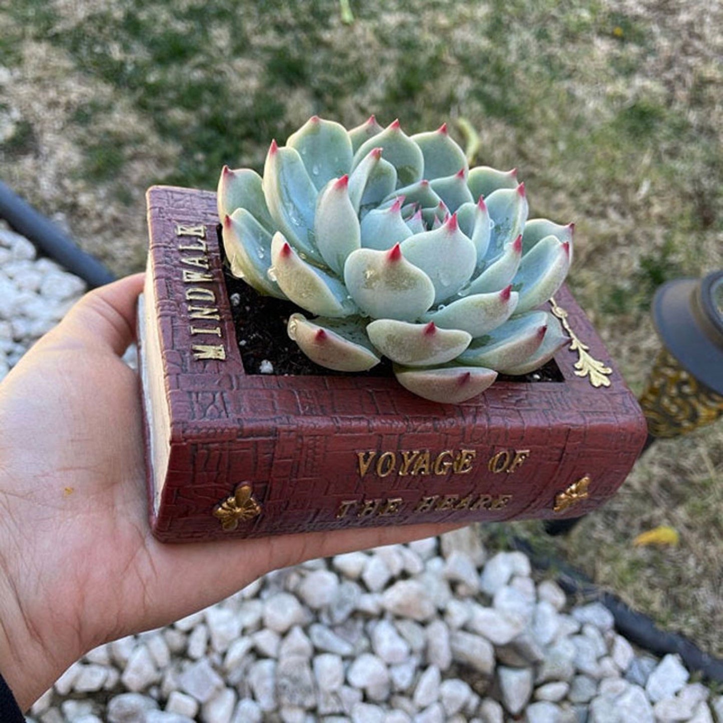 Vintage Book planter