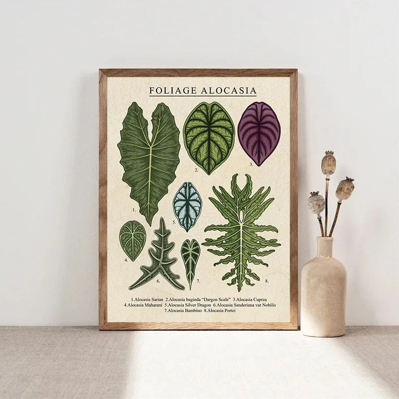 Vintage Plant Art Canvas (unframed)