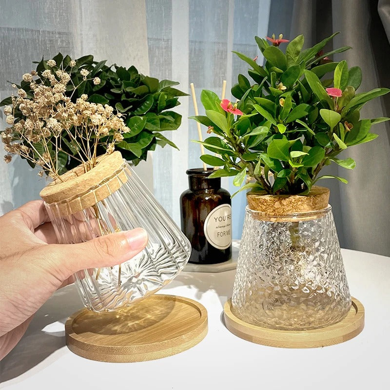 Propagation glass jar + bamboo base