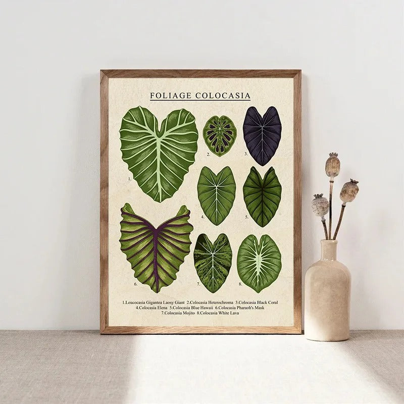 Vintage Plant Art Canvas (unframed)