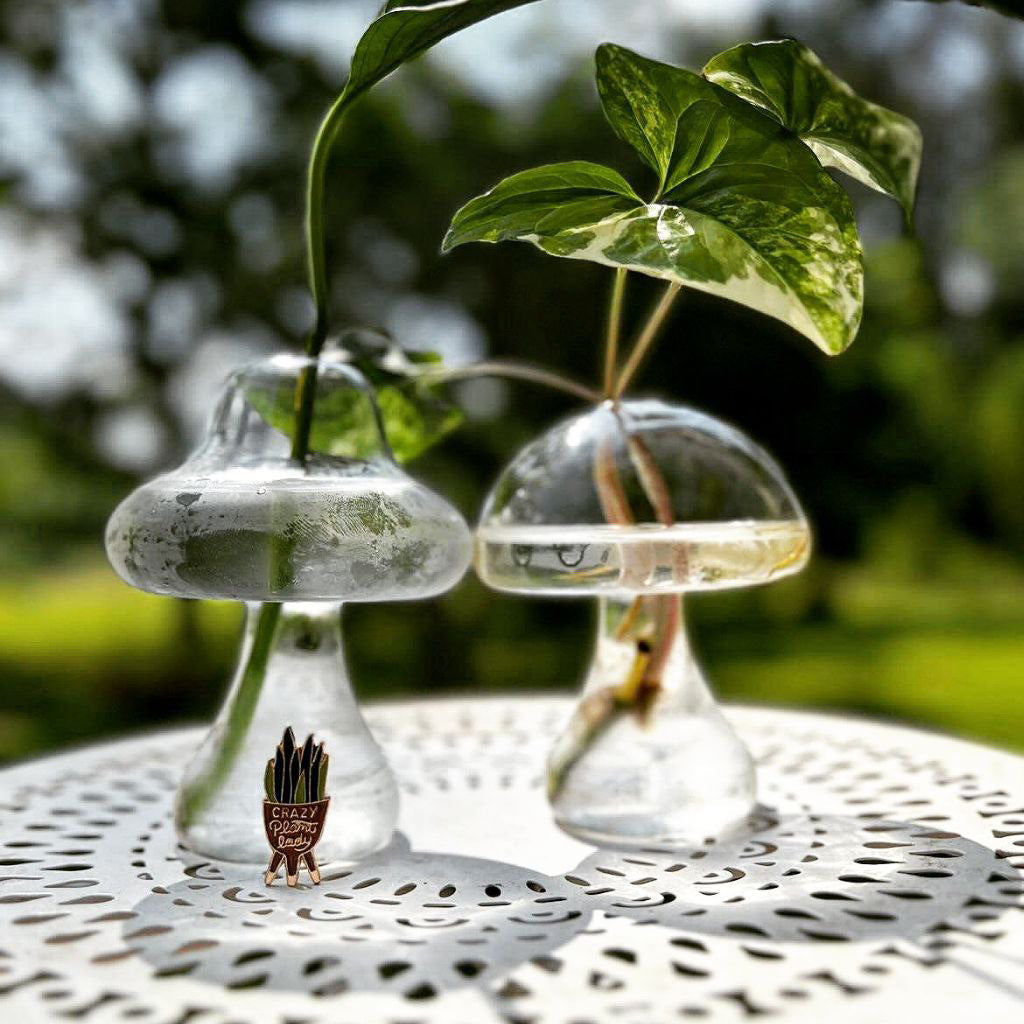 Mushroom propagation jars