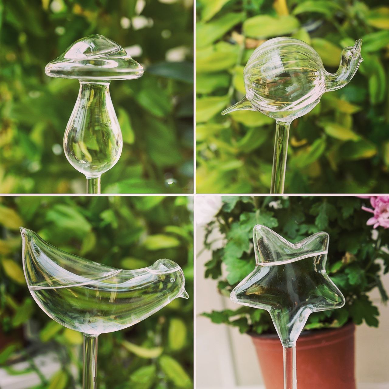 Clear Self-Watering Feeders