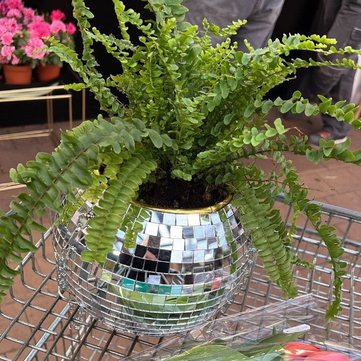 Disco Ball Hanging Planter