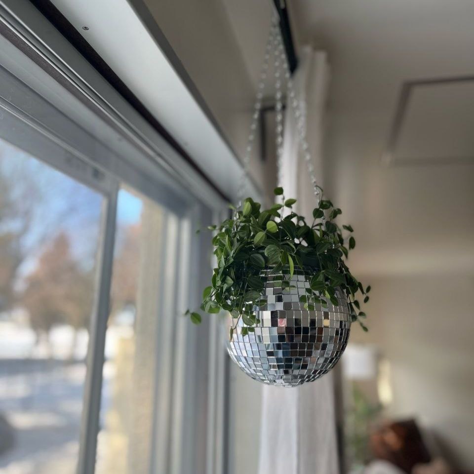 Disco Ball Hanging Planter