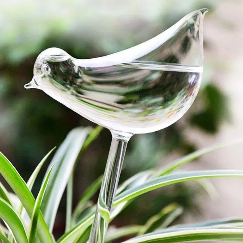 Clear Self-Watering Feeders