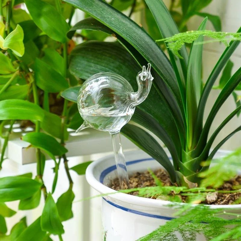 Clear Self-Watering Feeders