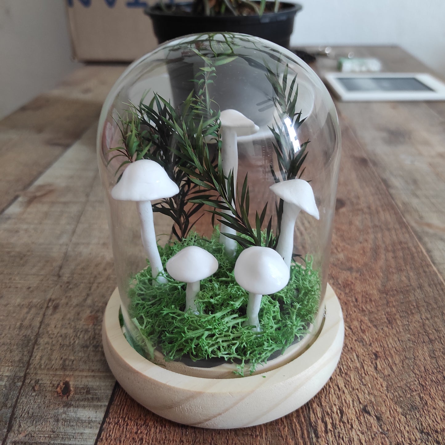 Mushroom Night Lights DIY Kit