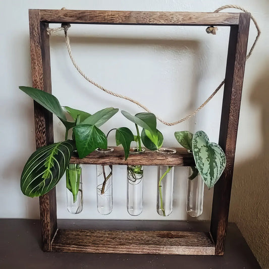 Wall Hanging Propagation Station