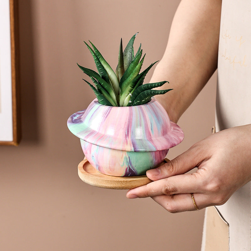 planet succulent Space Planet Succulent Planter – Happyplanthome