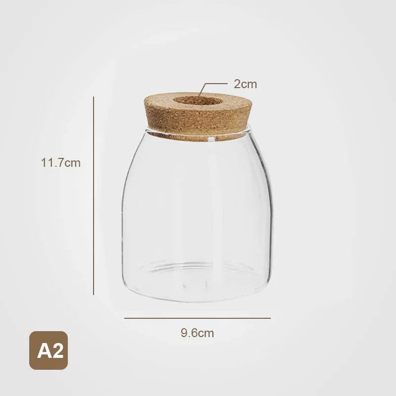 Propagation glass jar with cork lid